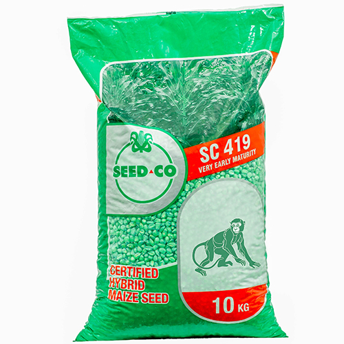 SC 419