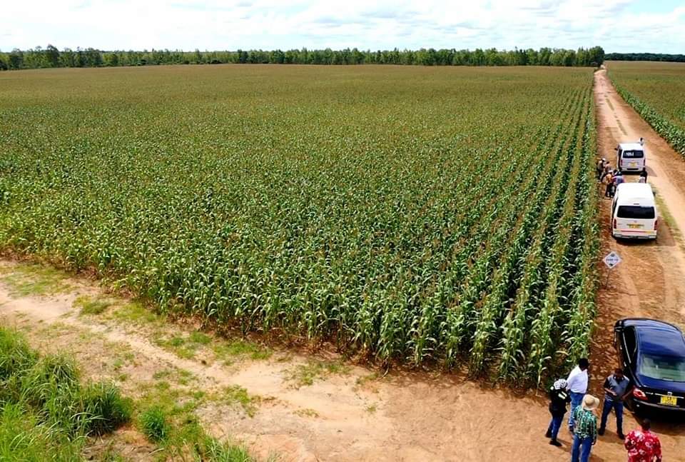 Ministry of Agriculture - Mega Farms Unit